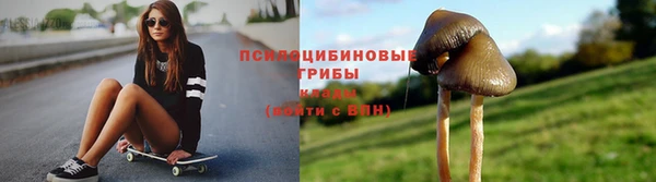 apvp Нязепетровск