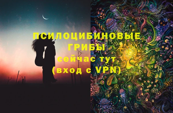 винт Алзамай