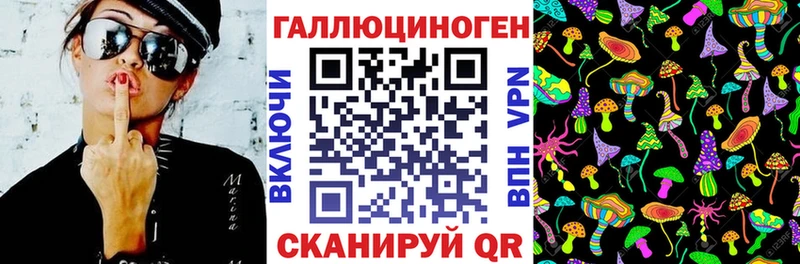 продажа наркотиков  Слюдянка  сайты даркнета как зайти  Галлюциногенные грибы мицелий 